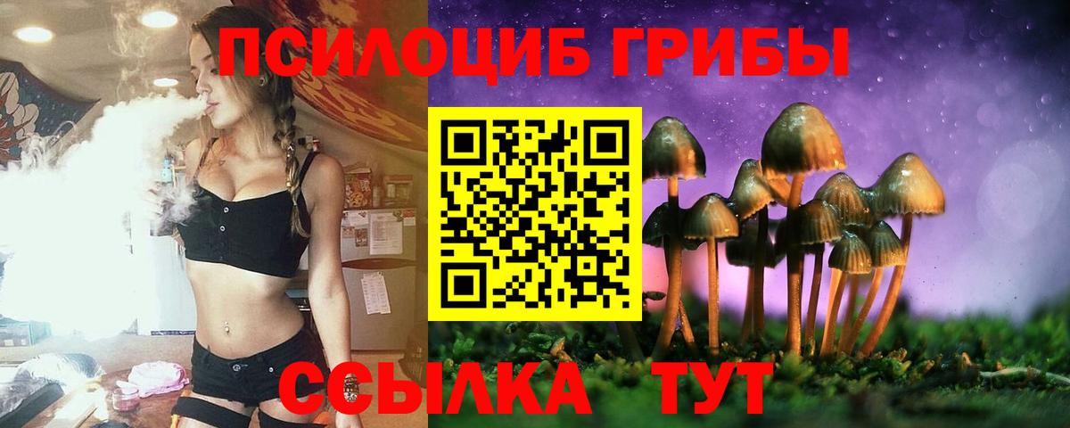 Галлюциногенные грибы Magic Shrooms Топки